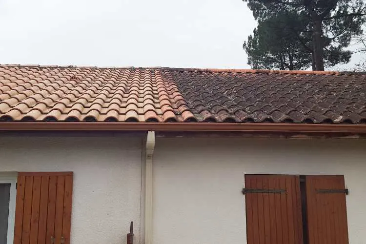 démoussage de toiture à 31390
