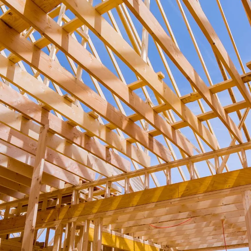 traitement charpente Graulhet (81300)